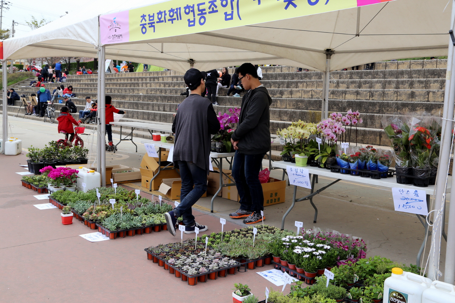 사진크게보기